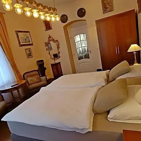 Luxury Gato View With Private Parking Karlovy Vary